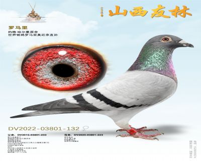 �������