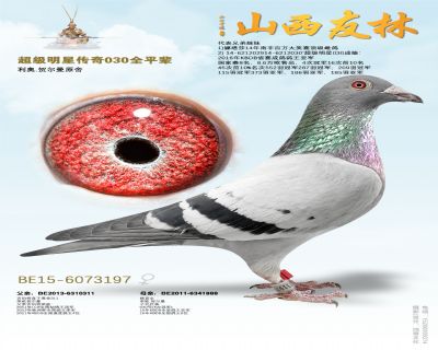 �������Ǵ��桰030��ȫƽ���������