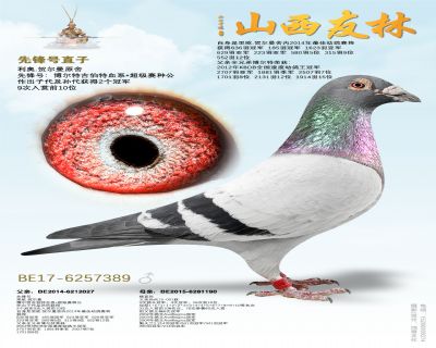 ���¡��ȷ��ֱ�ӡ�