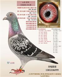 ֱ��:���ɾ���50��