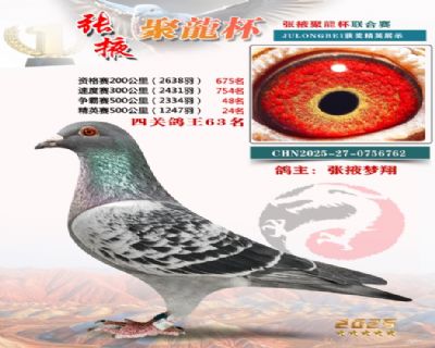 �Ĺظ���63��