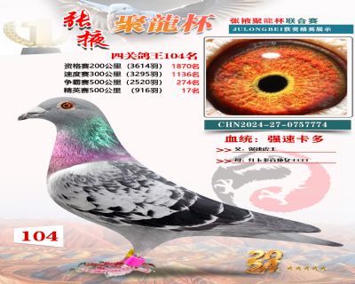 500����4��