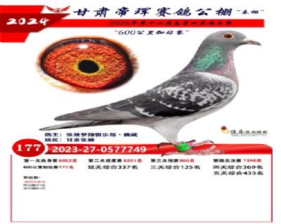 ���������վ��177��