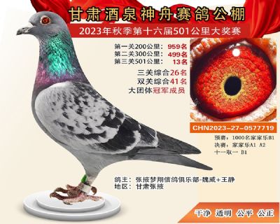 ��Ȫ���۹���13��