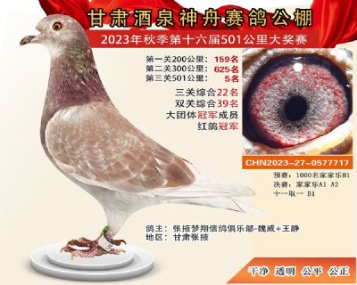 ��Ȫ���ݹ���5��