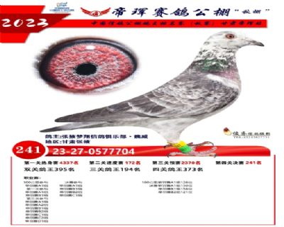 ��������241��