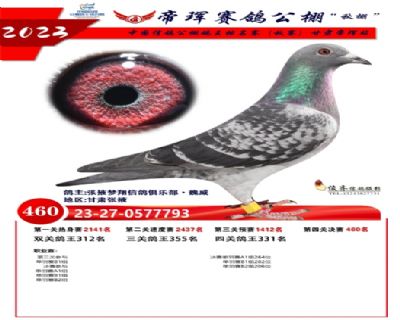 ��������460��