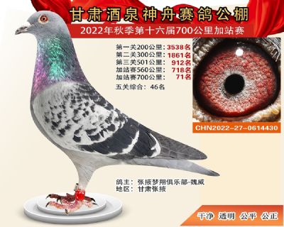 ���۹���700����71��