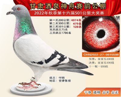 ���۹���128��