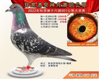 ���۹���378��