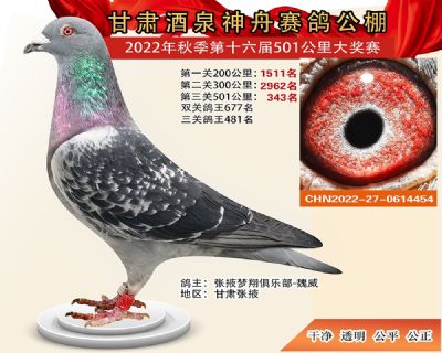 ���۹�343��