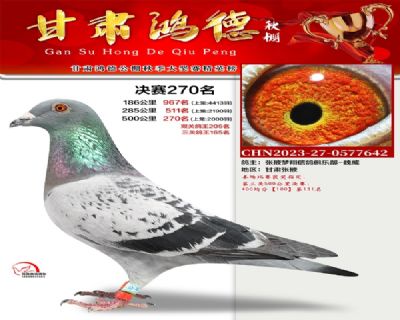 ��¹���270��