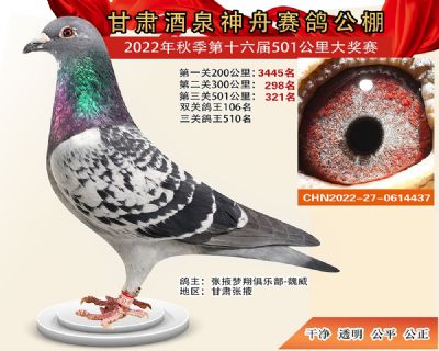 ���۹���321��