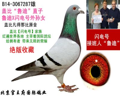 �Ǳȡ�³�ϡ�ֱ��