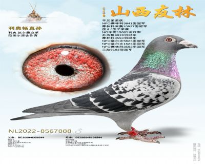 ���¡��ֱ��888