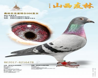 ����ƥ�˻��ض�006ֱŮ