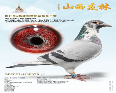 ҡ�˺� x ���Ǿ����ͽ�ĸȫƽ��