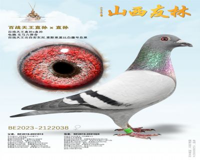 ��ս����ֱ�� x ֱ��