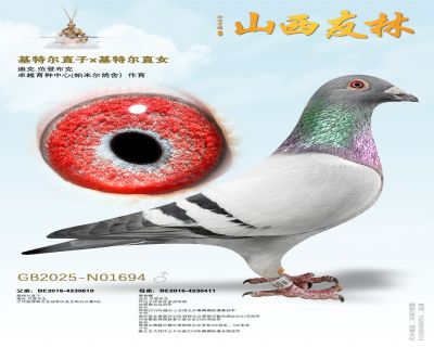 �����ض���ֱ��x�����ض���ֱŮ