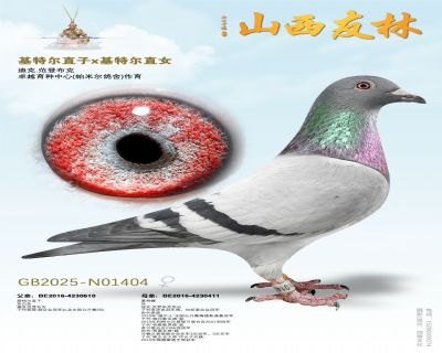 �����ض���ֱ��x�����ض���ֱŮ