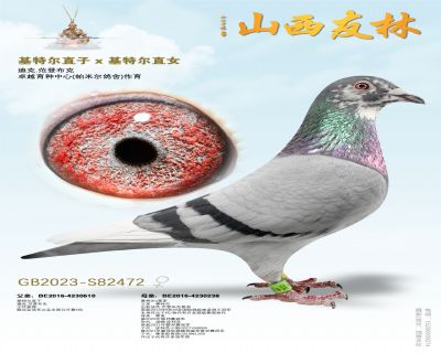 �����ض���ֱ��x�����ض���ֱŮ