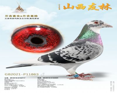 ��������ֱŮ x ����ֱ��