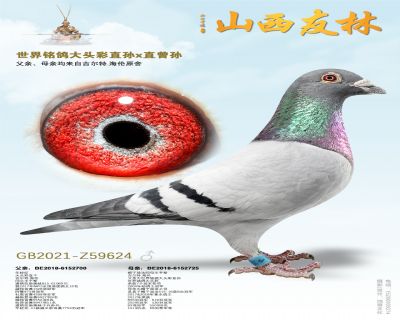 �������� ����ͷ��