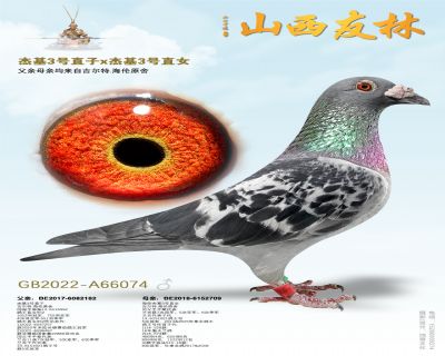 �ܻ���3�š�ֱ�ӡ��ܻ�3��ֱŮ