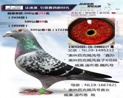 ����.�ϲ���