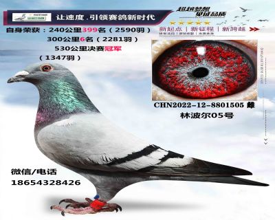 �ֲ���05��