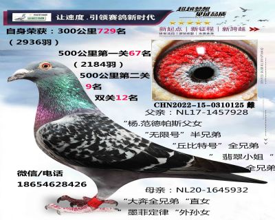 ��.������˹