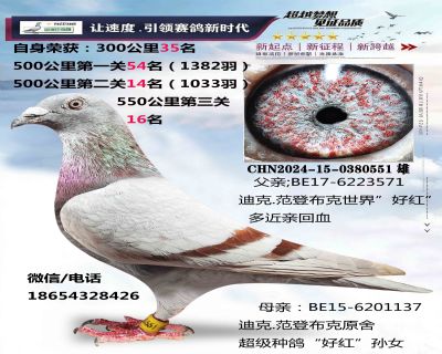 ���ǲ���