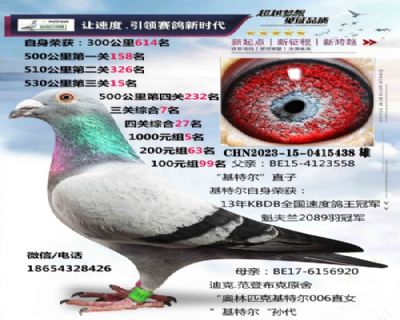 ���ǲ���