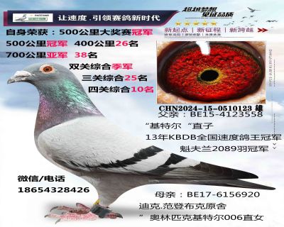 ��������Է