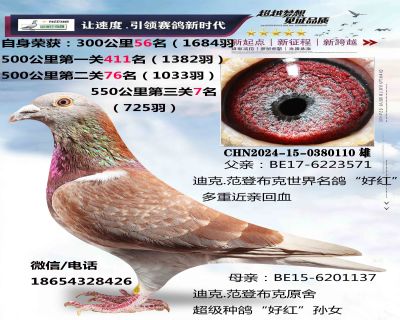 ���ǲ��ˡ��ú족