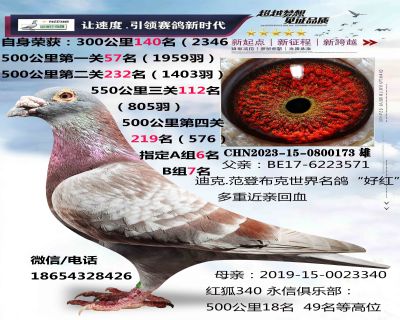 ���ǲ���