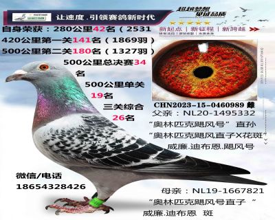 ����.�ϲ���