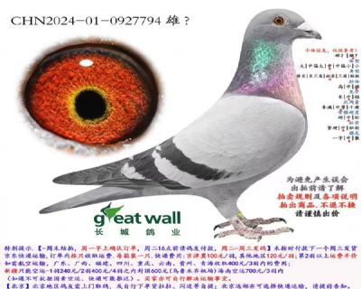 ΢��ͼƬ_20260317184741_141_4