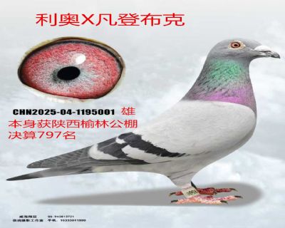 ΢��ͼƬ_20260317185226_146_4