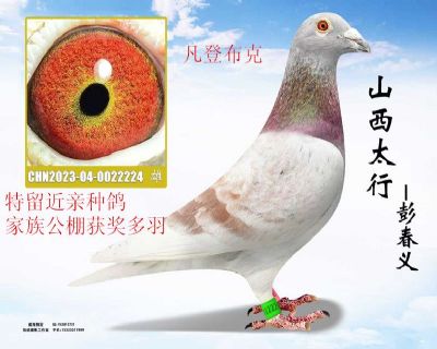 20251220150352109668