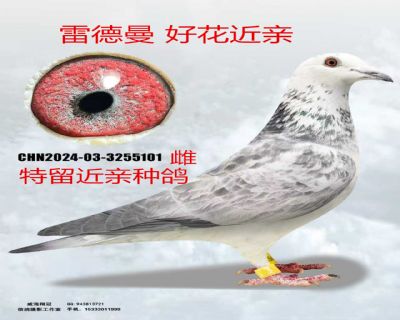 ΢��ͼƬ_20260317191031_156_4_����