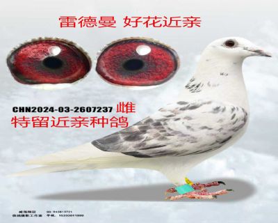 ΢��ͼƬ_20260317191030_155_4_����