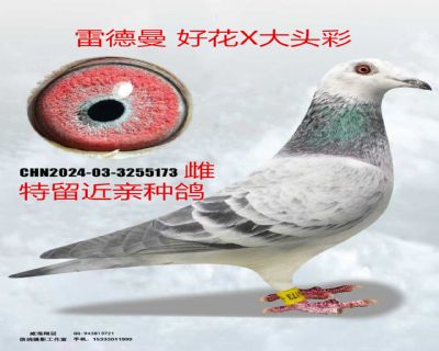 ΢��ͼƬ_20260317191029_154_4_����