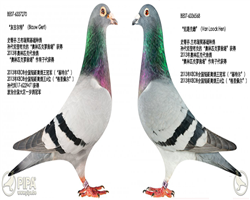 �Ҹ���X��·�˴�