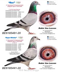 ��˹X����С��