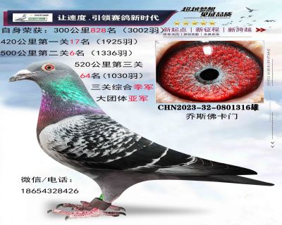 ��˹����