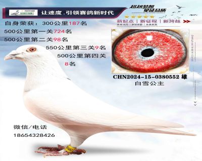 ��ѩ����