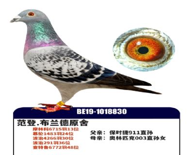 ����003����Ů