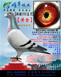 ���游���ƽ�