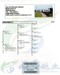 ���游���ƽ�Ѫͳ��